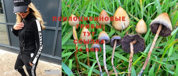 круглые Алзамай