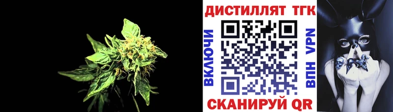 ТГК Wax Закаменск