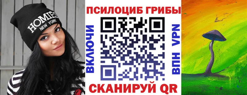Псилоцибиновые грибы мухоморы  как найти   Закаменск 